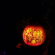 Illustration for article titled Night of A 1000 Jack o Lanterns